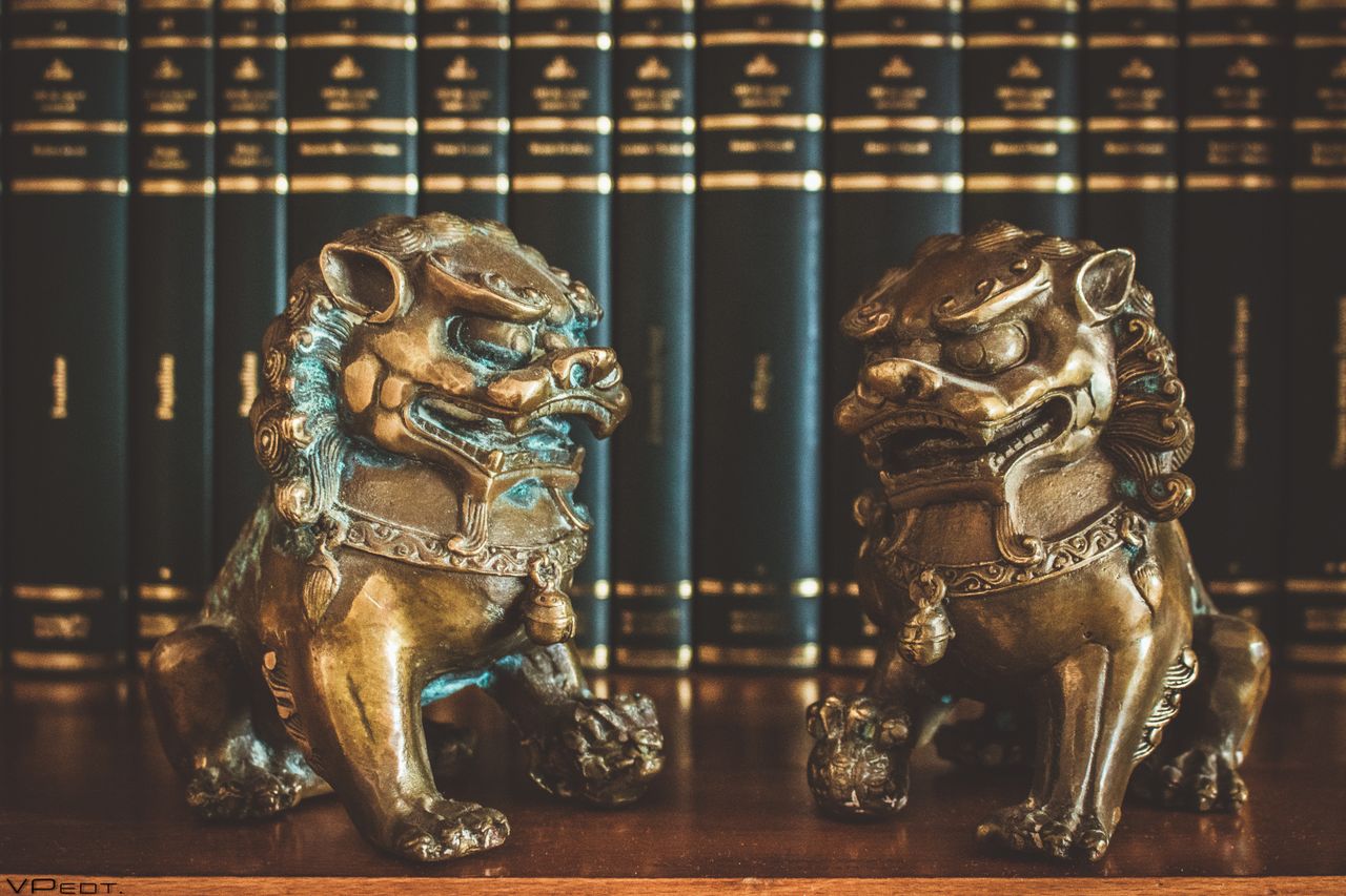 Decorative brass foo dog statues on a shelf with leather-bound books in the background.